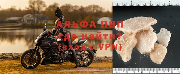 трава Магас