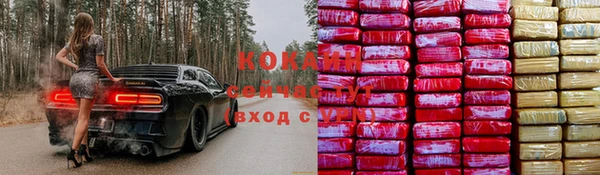 трава Магас