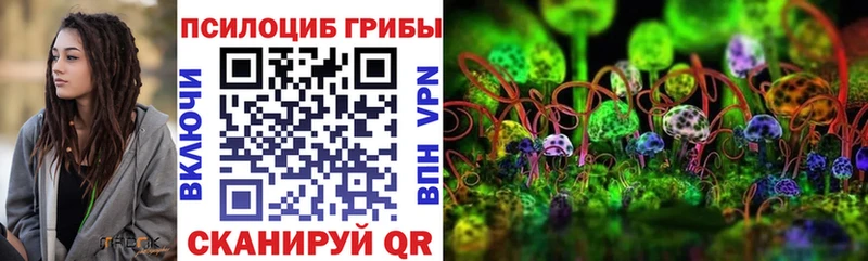 Купить  Нарткала  Галлюциногенные грибы MAGIC MUSHROOMS 